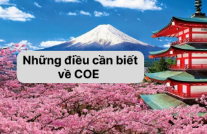 Những điều cần biết về COE